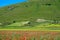 Horizontal shot of the breathtaking landscape and red flowers of Castelluccio village