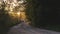 Horizontal shot of a car turning to a  rural road surrounded by trees