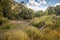 Horizontal shot of Cascade Springs National Park