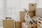Horizontal shot of domestic animal sits on stack of carton boxes, relocates in new abode, poses in spacious empty room with no