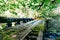 Horizontal shot of an eerie abandoned wooden bridge covered in moss in a majestic forest