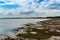 Horizontal shot of low tide in a river estuary surrounded by green trees under the cloudy sky