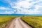 Horizontal shot of a narrow dirt road surrounded by green grass under the beautiful blue sky