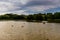 Horizontal shot of the Porto City Park in Portugal. Green river with ducks between the trees