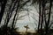 Horizontal shot through the trees of a man standing on a beach while holding a surfing board