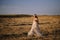 Horizontal shot of a young caucasian female in a white dress posing in a field