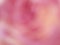 Horizontal soft blur background - pink wallpaper