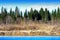 Horizontal spring forest river landscape background