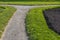 Horizontal texture of green lawn grass bluegrass meadow with seeds and black soil and a gray path is in the park