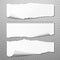 Horizontal Torned Papers Vector Set. Realistic 3d render