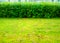 Horizontal trimmed park bushes background