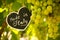 Horizontal View of Close Up of Blackboard with the sentence Made in Italy in Blurred Plantation of White Table Grapes at Midday in