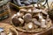 Horizontal View of Close Up of Fresh Mushrooms at the Marketplace on Blur Background. Bari, South of Italy