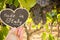 Horizontal View of Close Up of Hand Keeping Blackboard with the sentence Made in Italy in Blurred Plantation of Black Wine Grapes