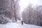 Horizontal view of cross country female skiier resting in the middle of a full of snow track with trees at each side.