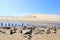 Horizontal view of estuary in Moliets France, stream water dune sand beach Background and texture wallpaper pattern.