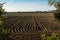 Horizontal View Of Plowed Field In Spring Before Plantation In Italy