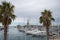 Horizontal view of two palm trees in the port with pleasure boats in Badalona,