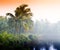 Horizontal vivid indian sunset palm on lake beach background bac