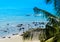 Horizontal vivid sand rock beach ocean palm composition backgrou