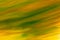 Horizontal wavy yellow-green background. Backdrop