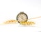 Horizontal wheat ears in front of vintage pocket watch