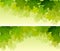 Horizontal wide banners of maple tree crown.