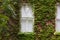 Horizontal of window surrounded by ivy