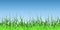 Horizontally Seamless Green Grass Banner