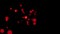 Horizontally spreading bright red dots on dark background. Motion animation