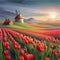 Horizontally vector illustration vast fields red tulips in beautiful