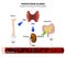 Hormonal Regulation of Calcium