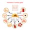 Hormones of adrenal gland and human organs that respond to hormones