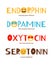 Hormones colorful typography banner isolated on white. Endorphin, dopamine, oxytocin, serotonin. Mood stabilizer, love