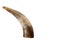 The horn of an animal. Lamb horn on a white background