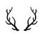 Horn of deer or elk. Hunting trophy. Black and white silhouette of antler