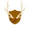 Horn of deer. Hunting trophy. Wall decoration element. Part of the stag animal head