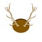 Horn of deer. Hunting trophy. Wall decoration element. Part of the stag animal head