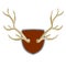 Horn of deer. Hunting trophy. Wall decoration element. Part of the stag animal head