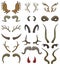 Horn vector horned wild animal and deer or antelope antlers illustration set of hunting trophy of reindeer