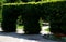 Hornbeam hedge in the shape of a gate line a park path with a perennial bed. next to it is a lawn in the park side view