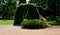 Hornbeam hedge in the shape of a gate line a park path with a perennial bed. next to it is a lawn in the park side view