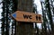 Hornbeam tree on which a toilet sign is forcibly bolted. Wooden sign with a pictogram of a man and a woman in the shape of an arro