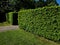 hornbeams, yews and boxwoods shaped into giant cone shapes