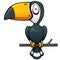 Hornbill