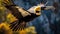 hornbill dark and yellow beak flying over a mountain-4