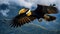hornbill dark and yellow beak flying over a mountain-8