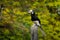 Hornbill feeding on Pangkor island