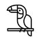 Hornbill vector, tropical related line style icon