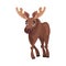 Horned Brown Elk as Herbivore Forest Animal Vector Illustration